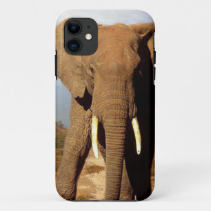 Elephant Beach Day out, iPhone 11 Hoesje