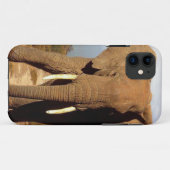Elephant Beach Day out, Case-Mate iPhone Case (Achterkant (horizontaal))