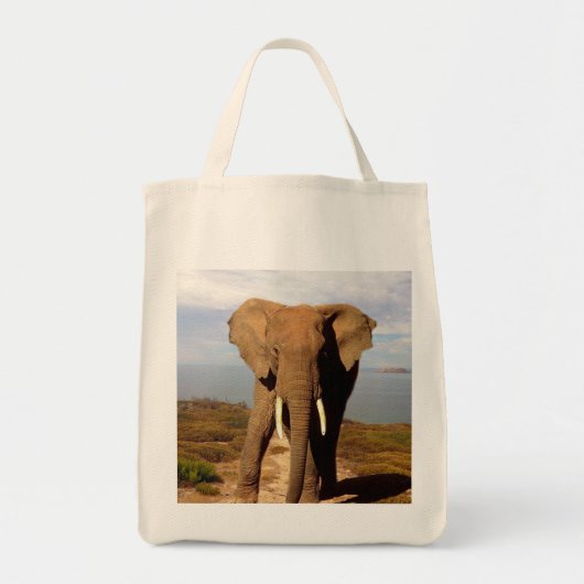 Elephant Beach Day out, Tote Bag (Voorkant)