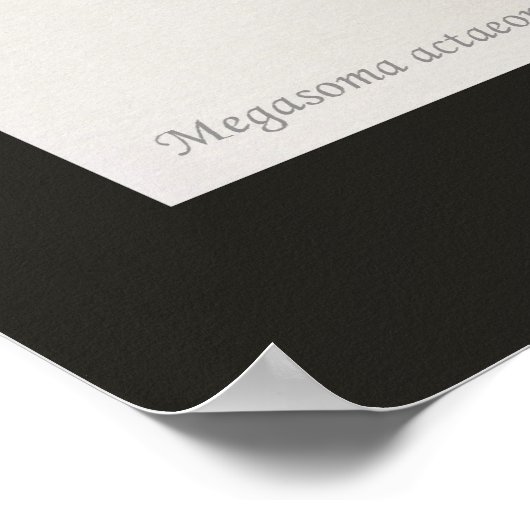 Elephant Beetle Poster (Hoek)