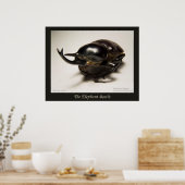Elephant Beetle Poster (Keuken)