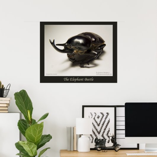 Elephant Beetle Poster (Thuiskantoor)
