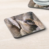 ELEPHANT BIER ONDERZETTER (Linkerzijde)