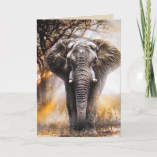 Elephant Birthday Card Kaart (Voorkant)