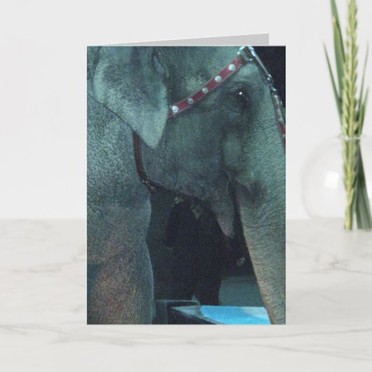 ELEPHANT BIRTHDAY-kaart Kaart (Voorkant)