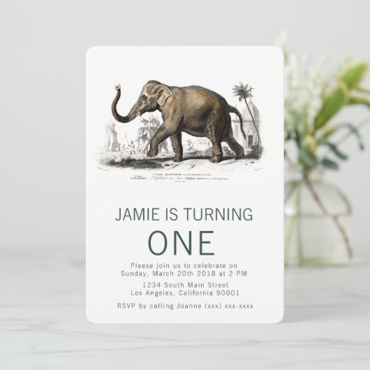  Elephant Birthday Uitnodiging (Staand voorkant)