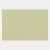  Elephant Birthday Wrapping Paper Sheet (Voorkant 3)