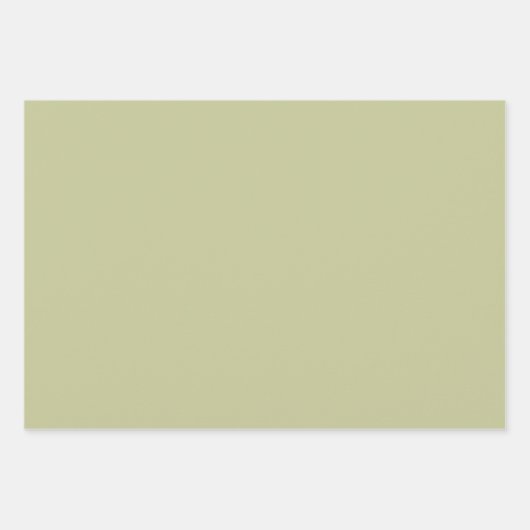  Elephant Birthday Wrapping Paper Sheet (Voorkant 3)