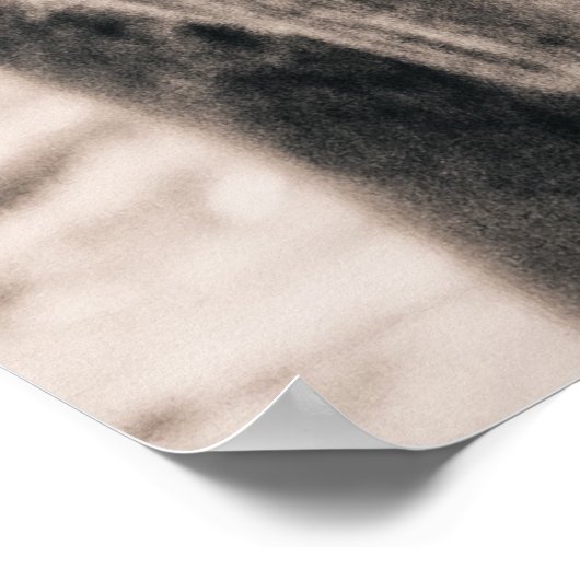 Elephant Black and White Africa Animals Poster (Hoek)