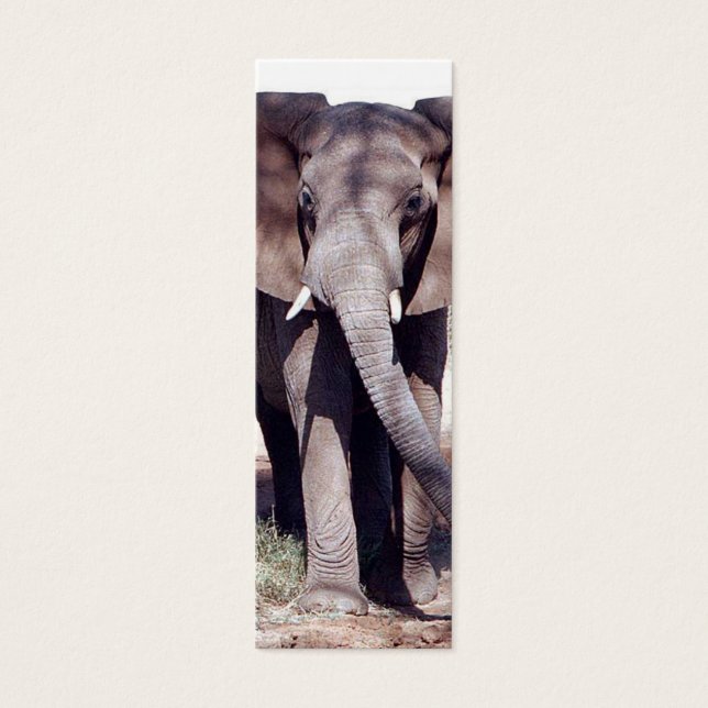 Elephant Bladwijzer Mini Visitekaartjes (Voorkant)