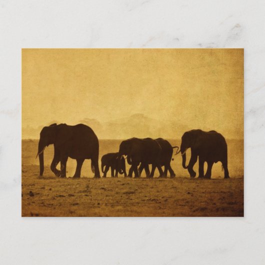 Elephant Briefkaart (Voorkant)