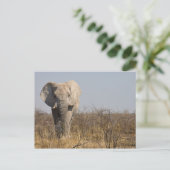 Elephant Briefkaart (Staand voorkant)