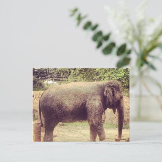 Elephant Briefkaart (Staand voorkant)