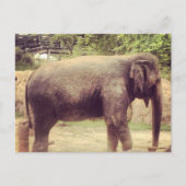 Elephant Briefkaart (Voorkant)