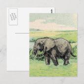 Elephant Briefkaart (Voorkant / Achterkant)