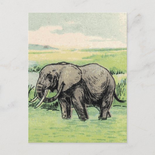 Elephant Briefkaart (Voorkant)