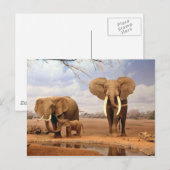 Elephant Briefkaart (Voorkant / Achterkant)