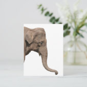 Elephant Briefkaart (Staand voorkant)