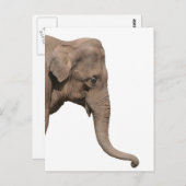 Elephant Briefkaart (Voorkant / Achterkant)