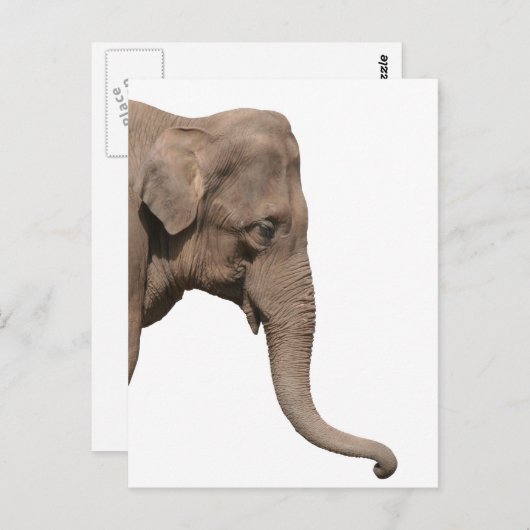 Elephant Briefkaart (Voorkant / Achterkant)
