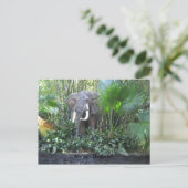 Elephant briefkaart (Staand voorkant)