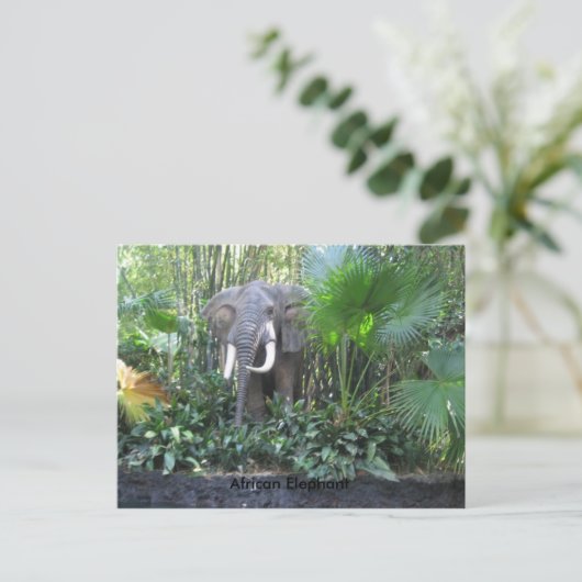 Elephant briefkaart (Staand voorkant)