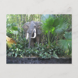 Elephant briefkaart