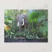 Elephant briefkaart (Voorkant)