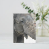 Elephant Briefkaart (Staand voorkant)