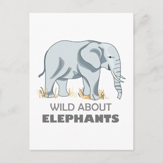 ELEPHANT BRIEFKAART (Voorkant)