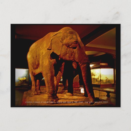 Elephant Briefkaart (Voorkant)