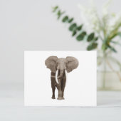 Elephant Briefkaart (Staand voorkant)