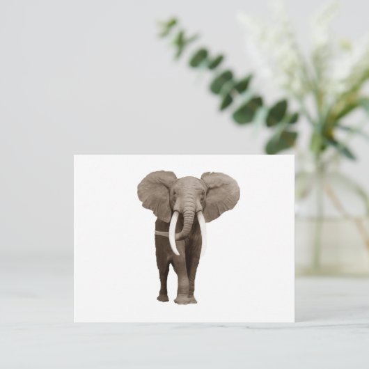 Elephant Briefkaart (Staand voorkant)