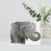 Elephant Briefkaart (Staand voorkant)