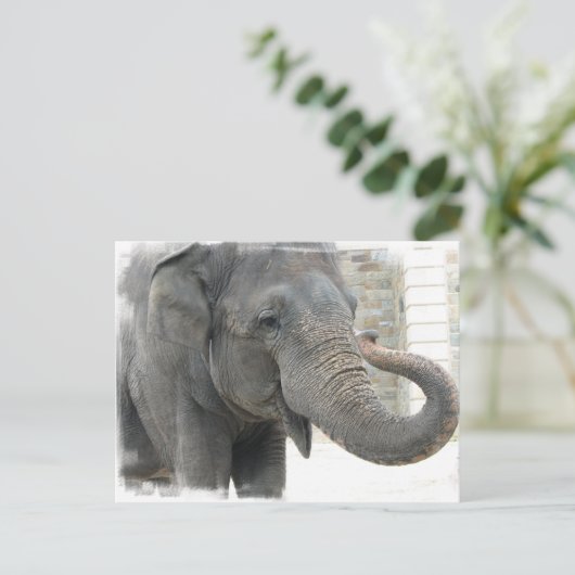 Elephant Briefkaart (Staand voorkant)