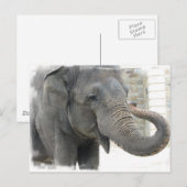 Elephant Briefkaart (Voorkant / Achterkant)