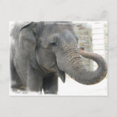 Elephant Briefkaart (Voorkant)