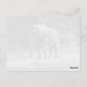 Elephant Briefkaart (Achterkant)