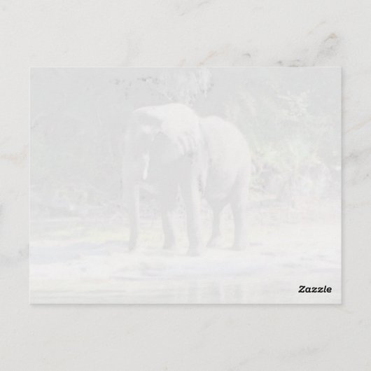 Elephant Briefkaart (Achterkant)