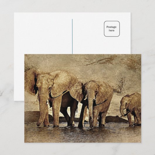 Elephant Briefkaart (Voorkant / Achterkant)