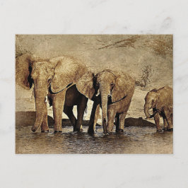 Elephant Briefkaart