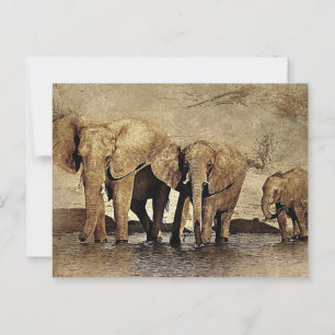Elephant Briefkaart