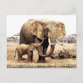 Elephant Briefkaart (Voorkant)