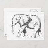Elephant Briefkaart (Voorkant / Achterkant)