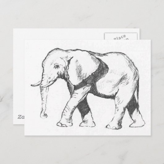 Elephant Briefkaart (Voorkant / Achterkant)