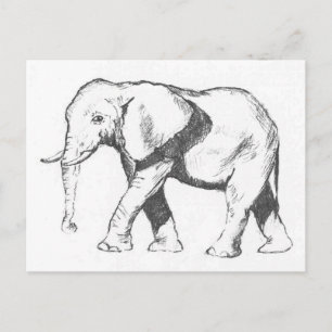 Elephant Briefkaart