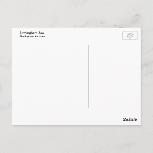 Elephant Briefkaart (Achterkant)