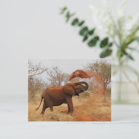 Elephant Briefkaart (Staand voorkant)