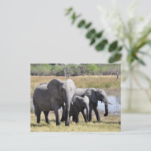 Elephant briefkaart (Staand voorkant)