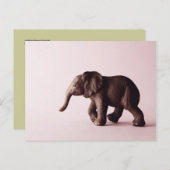 Elephant Briefkaart (Voorkant / Achterkant)